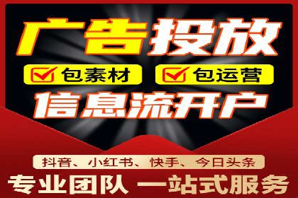 成功企业SEM竞价代运营案例研究